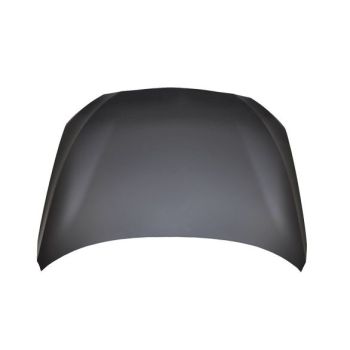 2010-2017 BMW 5 Series Gran Turismo F07 Hood CAPA OEM# 41617227768 PL# BM1230133C