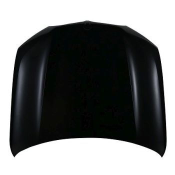 2019-2025 BMW X5 Steel Hood OEM# 41007492375-PFM PL# BM1230149