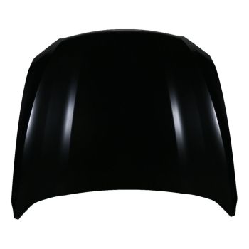 FORD TAURUS SHO HOOD OEM#DG1Z16612A 2013-2019 PL# FO1230328