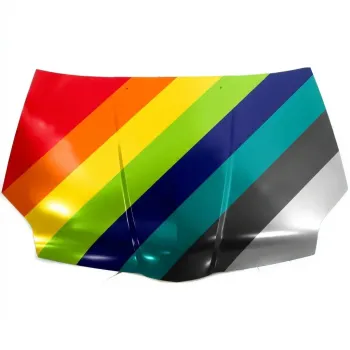 2004-2008 MITSUBISHI GALANT Hood OEM# MN150295 PL# MI1230209