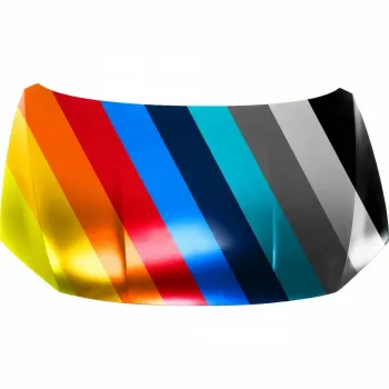 2016-2019 VOLKSWAGEN PASSAT Hood CAPA OEM# 561823031F PL# VW1230147C