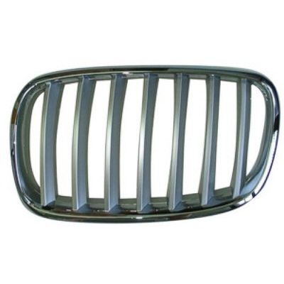 BMW BMW X5 GRILLE LEFT (Driver Side) CHR/SLV OEM# 51137185223 2007-2010 PL# BM1200182